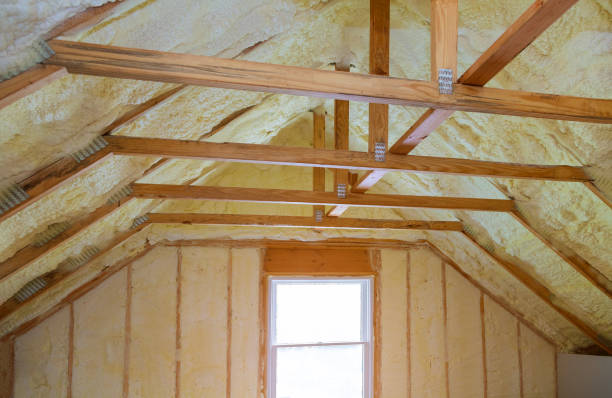 Best Geographic-Specific Insulation Services in Sweeny, TX