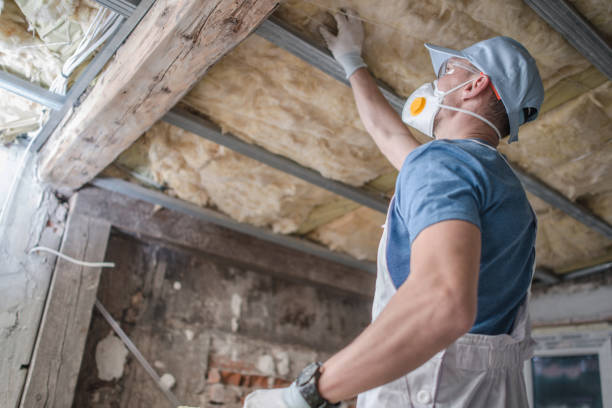 Best DIY Insulation Kits and Guidance in Sweeny, TX